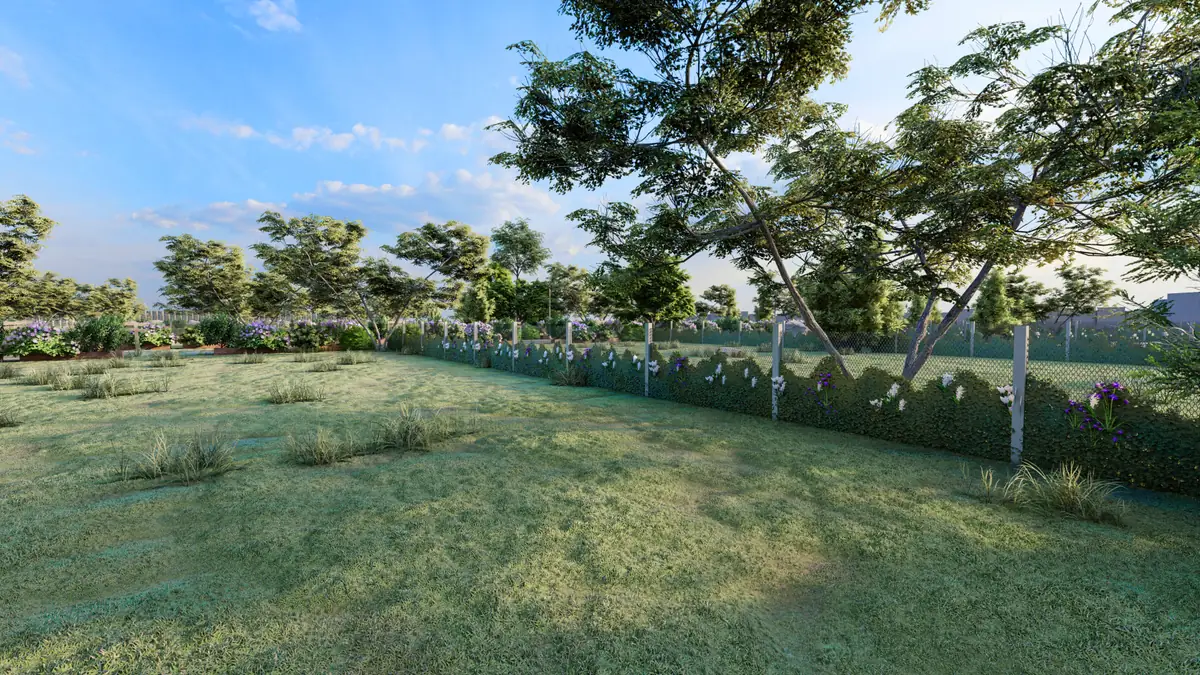 Lawnsview Gallery